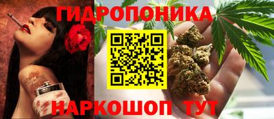 гашик Шахты