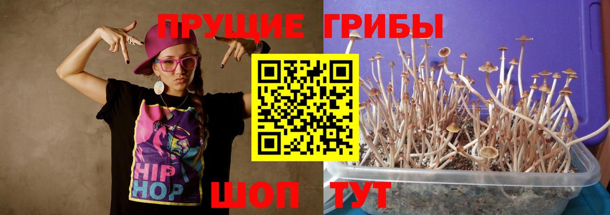 Псилоцибиновые грибы Cubensis  как найти закладки  Луга  Вход с VPN 