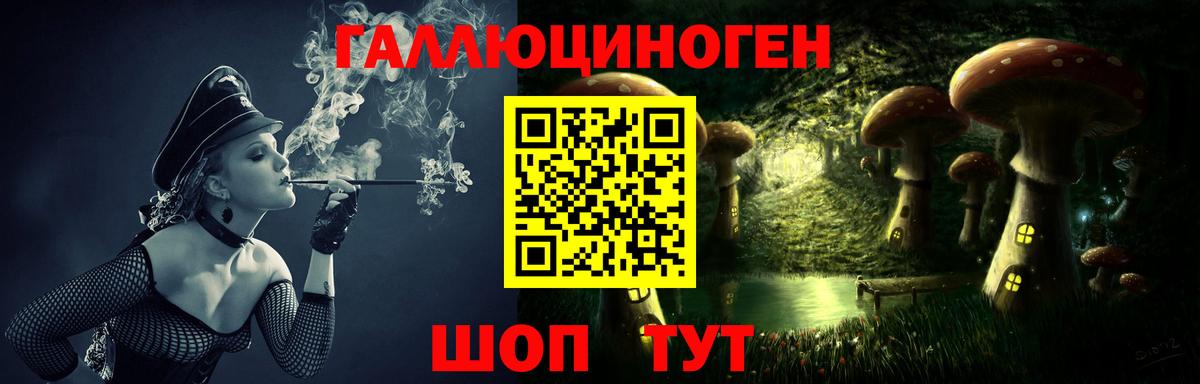 Псилоцибиновые грибы прущие грибы Луга